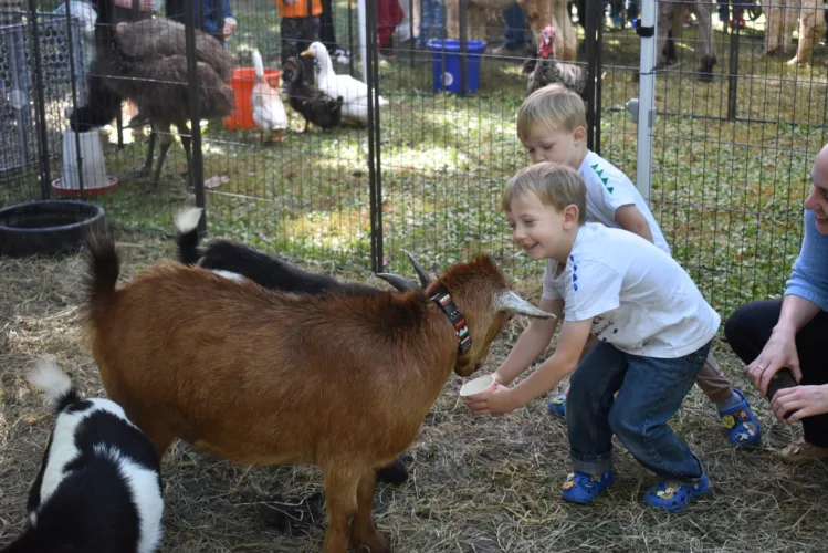 MSFF Kids Day in the Park